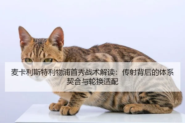 mai-ka-li-si-te-li-wu-pu-shou-xiu-zhan-shu-jie-du-chuan-she-bei-hou-de-ti-xi-qi-he-yu-lun-huan-shi-pei-2-282.jpg